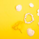 Reddyanna Pro: How the Innovative Platform is Transforming Language Learning in India